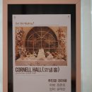 선우식당 | 전주 돌잔치 장소 파티원 코넬홀 후기 선우웨딩 메이크업 헤어