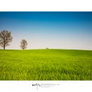 성원목장 이미지