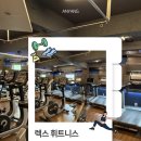 세광 휘트니스 | 안양 관양동 헬스장 추천, 관양시장 헬스장 ‘렉스 휘트니스’ 솔직후기!