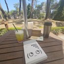 도서출판삶과꿈 | 마케팅입문도서추천 마케터를키우는질문들 서평 후기