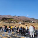 청사초롱 이미지