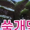 떡방동행