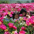 은자골마을 이미지