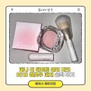 feenah 블러셔 l 피나 더 데이트 블러 치크 0515 멜로우 피치 솔직후기, 블러셔