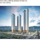 유림-41 이미지