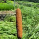 서리농산물