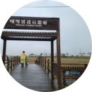 보물섬 주변 도로 만리향길 조성사업 | 신안군 자전길 중 2코스 증도 자전거길을 달리다