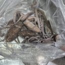 중도매인7호 이미지