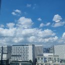 맘스터치 마곡역홈앤쇼핑점 이미지