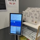 VSE 영 골프 이미지