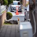 천성세차장 이미지