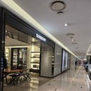 몽끌 | 버버리 퀼팅자켓 언박싱 후기! 2026년 겨울 데일리 아우터로 선택한 이유