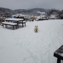 마이산뜰아래 이미지