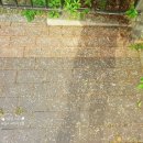 메이의산책 이미지