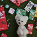 놀러오개 애견유치원 애견호텔 운정신도시점 이미지