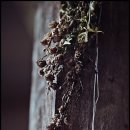 곡성-188 이미지