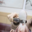 군산횟집 이미지