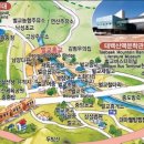 태백산맥 티스토리