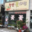 청산화원 - 원주시 갈촌길 1 | 청산화원