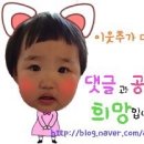 순종철판동태찜 이미지