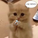 WEDDINGARY | 내가 결혼을 하는 이유, 임대 아파트 당첨, 웨딩밴드 후기
