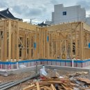 16.강릉 난곡동 --- 서까래 재단 및 지붕 서까래 시공중 1 이미지