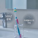 글로벌픽 - 유성구 | 플라스틱 칫솔 이제 그만 🌿 미세플라스틱 불검출 PLA 생분해 칫솔, 유이앤루이 에코픽 칫솔 솔직 후기