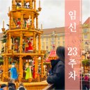 푸르고IM | [임신 23주차] 2주 유럽 태교여행 일정 / 임산부 유럽여행 추천 드레스덴