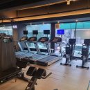 청년헬스 도계점 이미지