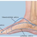 머슬메이커 짐 이미지