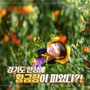 제이지서울내과의원 이미지