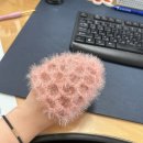 국민건강보험공단일산병원 노동조합 | 휴일 레츠고