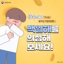 백일해 예방수칙 카드 뉴스 안내문 이미지