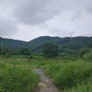 [성주 아이와 가볼만한곳] 장마철 눈치게임 성공! 당일치기 캠핑 감성 제대로 느끼고 온 물놀이 핫플...