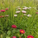 가야대역 이미지