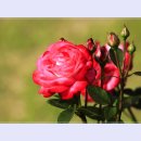 곡성-022 이미지