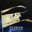 별헤는봄
