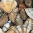 햇빛펜션 이미지