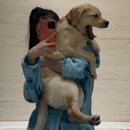 방배천로8길 16-7 | Jul2025