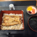 세끼모토