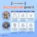 잡수새우 이미지