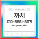 스타 나이트클럽 | 노원 아레나 (구 스타나이트) 금요일 방문 후기!