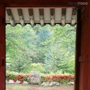 2016 문경전통찻사발축제에 다녀왔어요~ [2편]