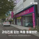 옥동종합동물병원 | 과잉진료 없는 울산 남구 옥동종합동물병원 | 2대째 다니고 있는 찐후기 | 피부병 치료
