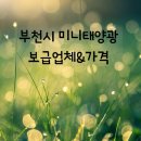 태현이엔지 이미지