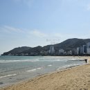 보물섬게임랜드 이미지