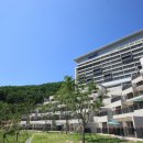 하이원콘도미니엄 이미지