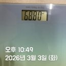 온체헬스스토어 | 올영세일 하길래 프로틴쉐이크 왕창 사온 후기 ♬