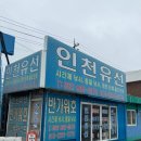 진우수산 | 인천 배낚시 인천유선 반가워호 대박 조황 우럭 낚시 꿀팁 전수