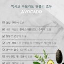 제이에스팜 이미지